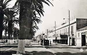Arzew 509- L' esplanade COLLECTION DES AMIS DE ND DE SANTA CRUZ